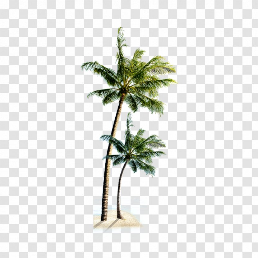 Playa Verde Beach Villa Praia Do Coqueiro - Hemp - Coconut Tree Transparent PNG
