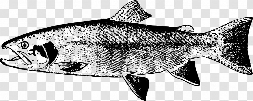 Sardine Clip Art - Milkfish - Seafood Transparent PNG