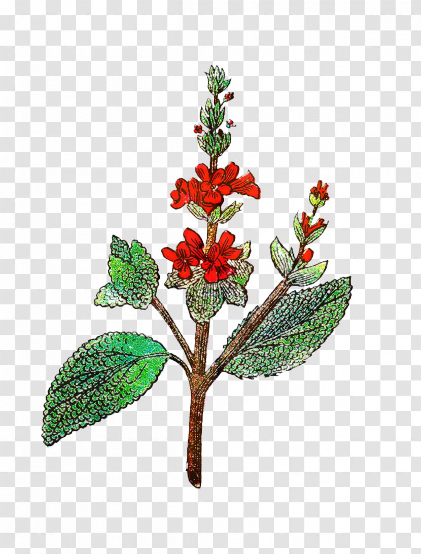 Clip Art Image Illustration Common Sage - Artificial Flower - Holly Transparent PNG