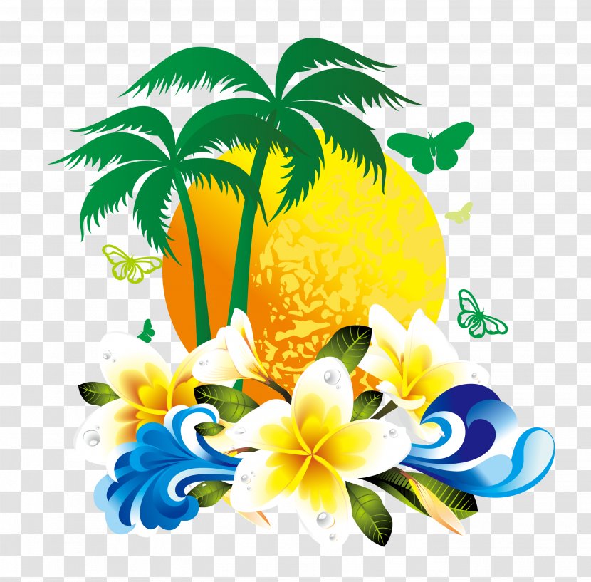 Coconut - Flora - Gorgeous Tropical Flowers Tree Material Transparent PNG
