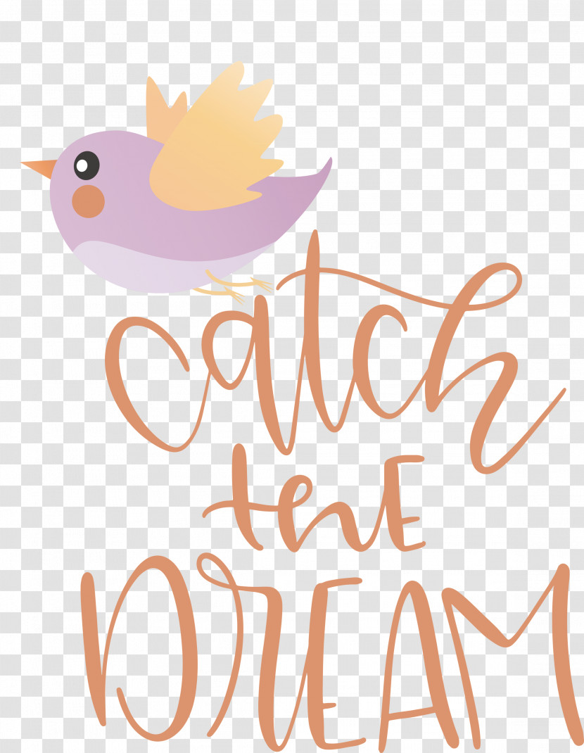 Catch The Dream Dream Transparent PNG