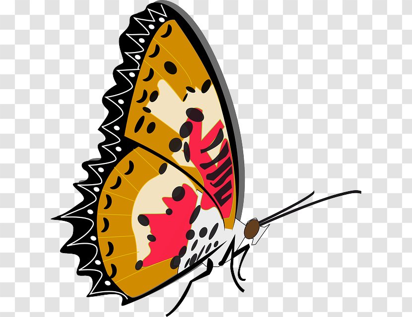 Monarch Butterfly Drawing Clip Art Transparent PNG