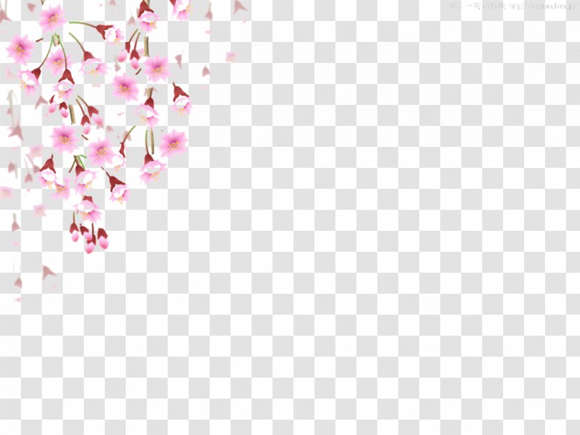 Cherry Blossom Flower - Blossoms Fall Picture Material Transparent PNG