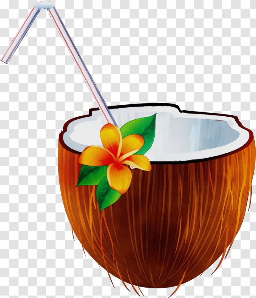 Watermelon Background - Juice - Coconut Water Cartoon Transparent PNG