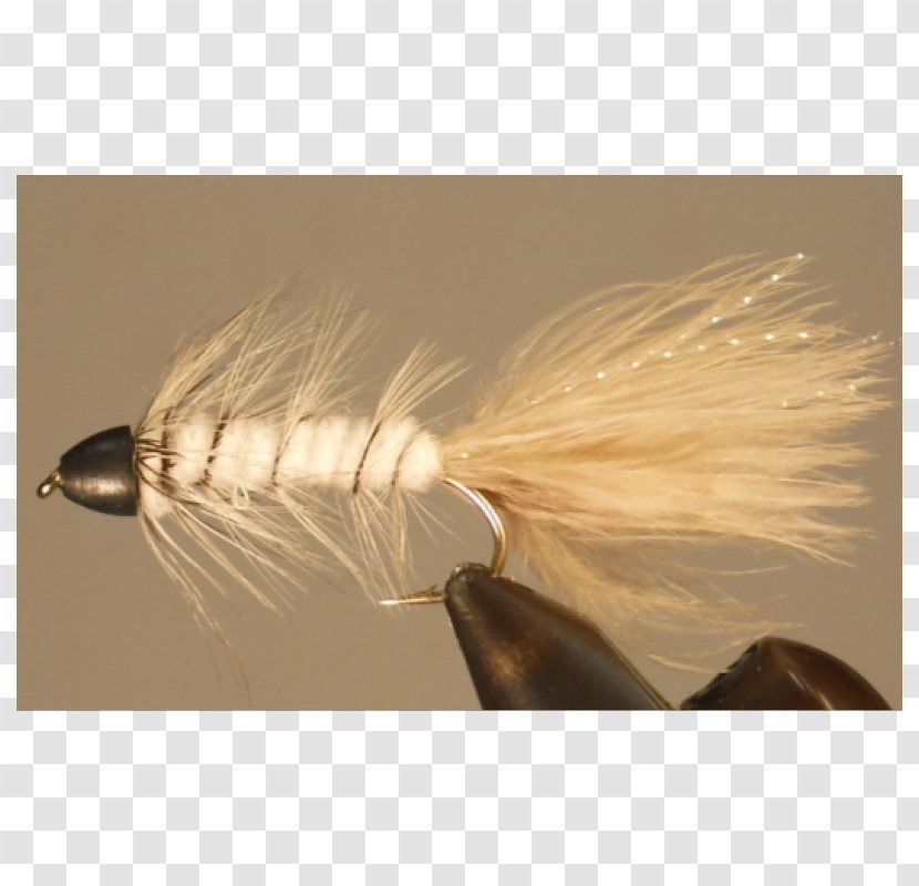 Quill Feather Brown - Floating Streamer Transparent PNG