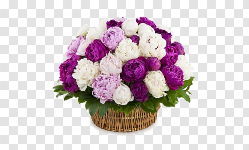 Peony Basket Flower Bouquet Garden Roses - Rosa Centifolia Transparent PNG