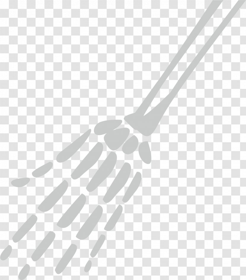 Photography Drawing Clip Art - Monochrome - Palmar Skeleton Transparent PNG