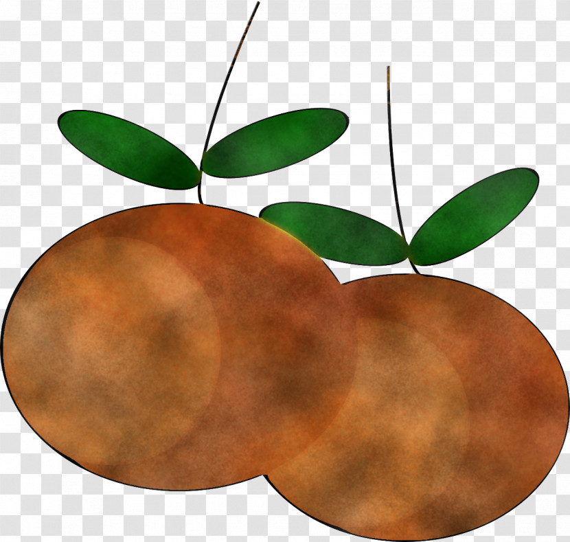 Leaf Plant Fruit Tree Flower Transparent PNG