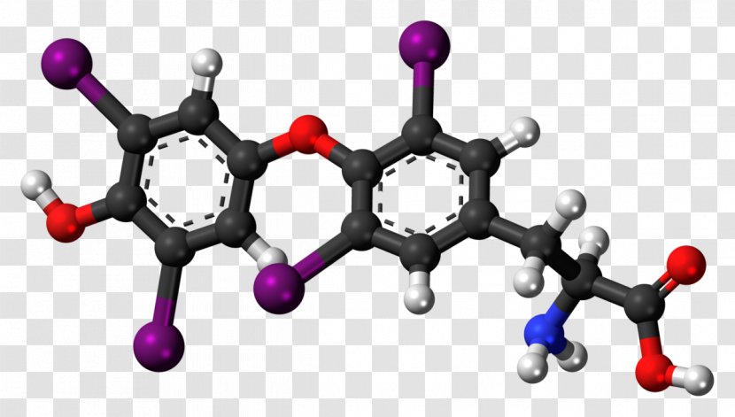 Tyrosine Levodopa Dopamine Norepinephrine Phenylalanine - Aromatic Amino Acid - Biological Transparent PNG