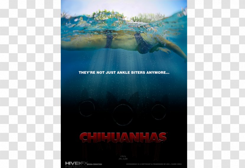 Poster Text Film Chihuahua Horror - Invention Transparent PNG