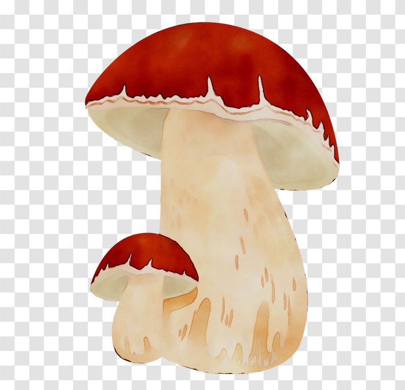 Mushroom Orange S.A. - Agaricomycetes - Sa Transparent PNG