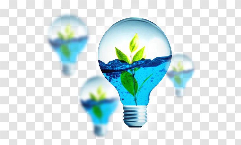 Incandescent Light Bulb Natural Environment Ecology Electrical Energy - Drinking Water Transparent PNG
