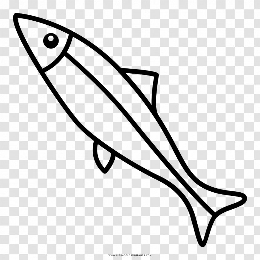 Sardine Drawing Coloring Book European Anchovy - Painting Transparent PNG