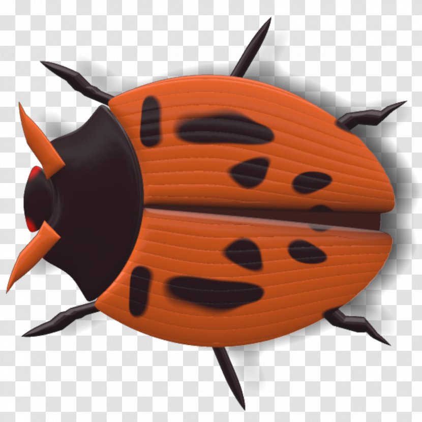 Ladybird Beetle Insect - Sevenspot Transparent PNG