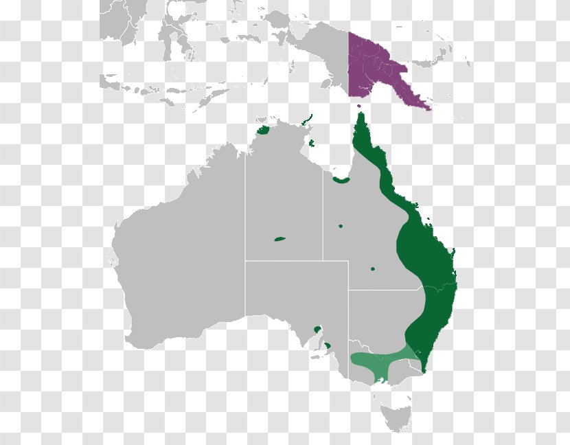 Australia World Map Road - Area Transparent PNG