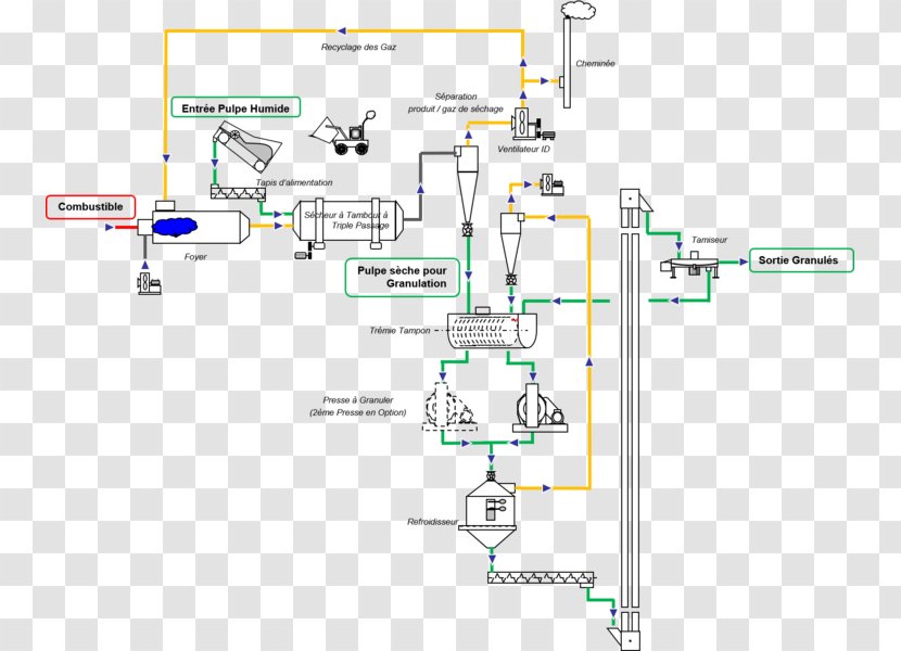 Polpa De Remolacha Chard Sugar Beet Granulation Tissue Refinery - Diagram Transparent PNG