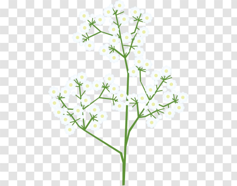 Twig Cut Flowers Plant Stem Flowering - Flower Illust Transparent PNG