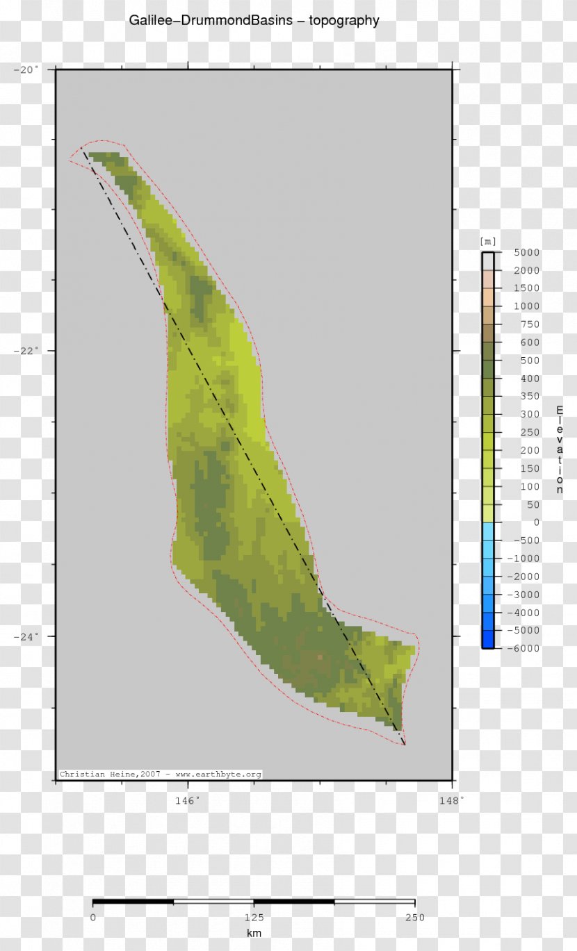 Leaf Egypt Grasses Ecosystem - Organism Transparent PNG