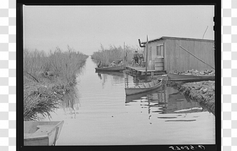 Delacroix Island Bayou Arabi LeBeau Plantation New Orleans - Water - Chalmette Transparent PNG