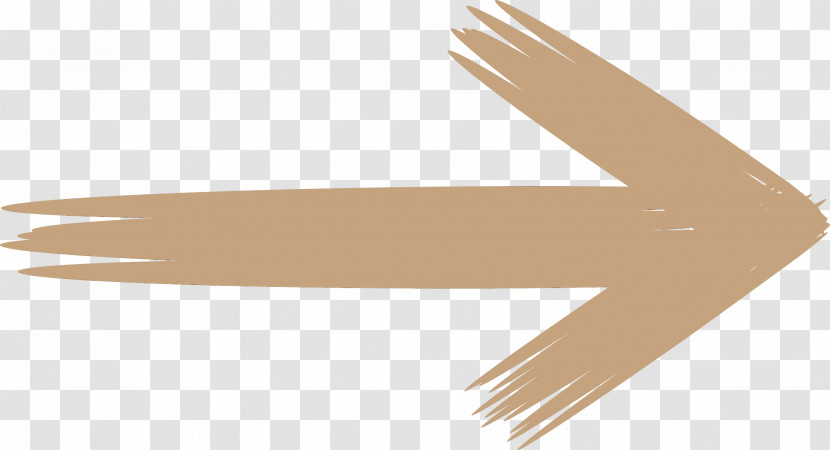 Beige Wing Transparent PNG