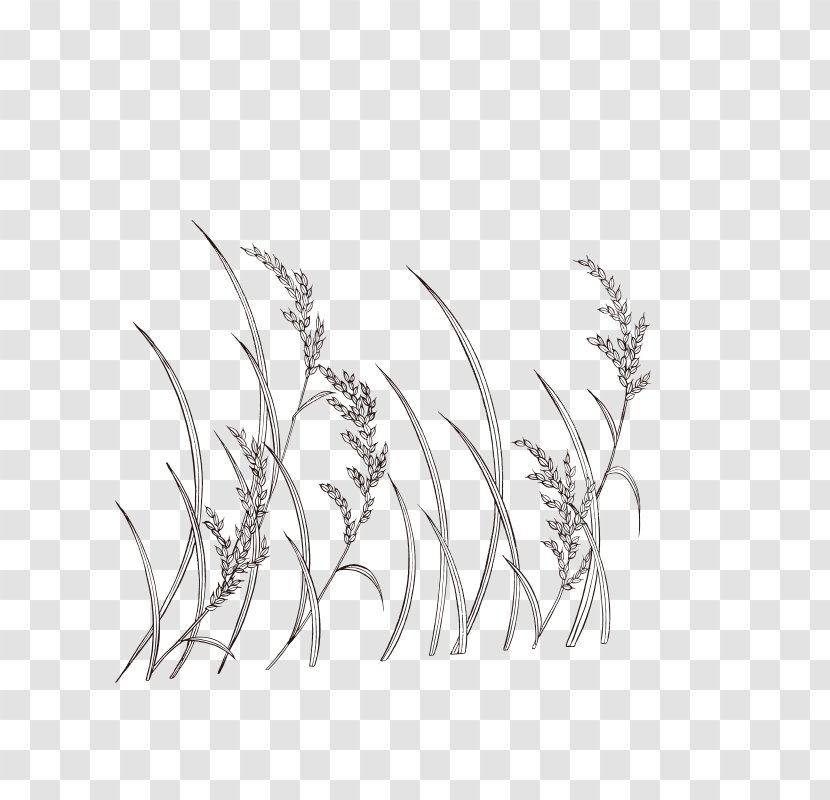 Line Art Wheat Monochrome Painting - Hand-painted Transparent PNG