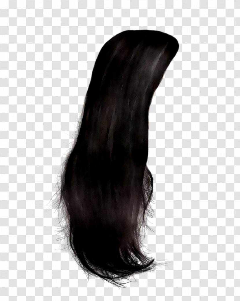 Long Hair Black Coloring Brown - Liver Transparent PNG
