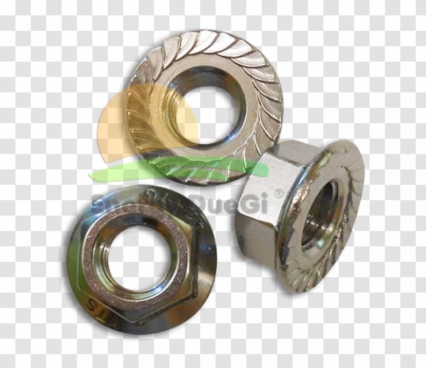 Nut Fotonaponski Sustavi Solar Thermal Collector Panels Roof - Bolt - Tubo Radiante Transparent PNG