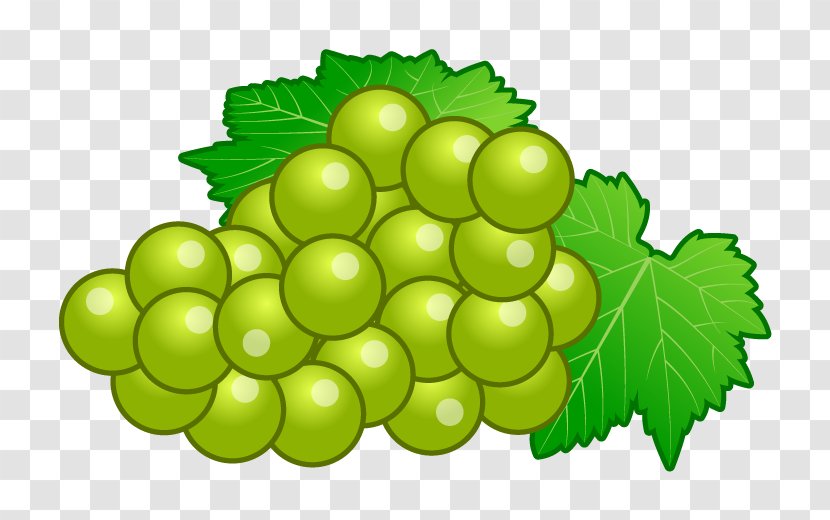 Sultana Grape Seedless Fruit - Leaves - Food Transparent PNG