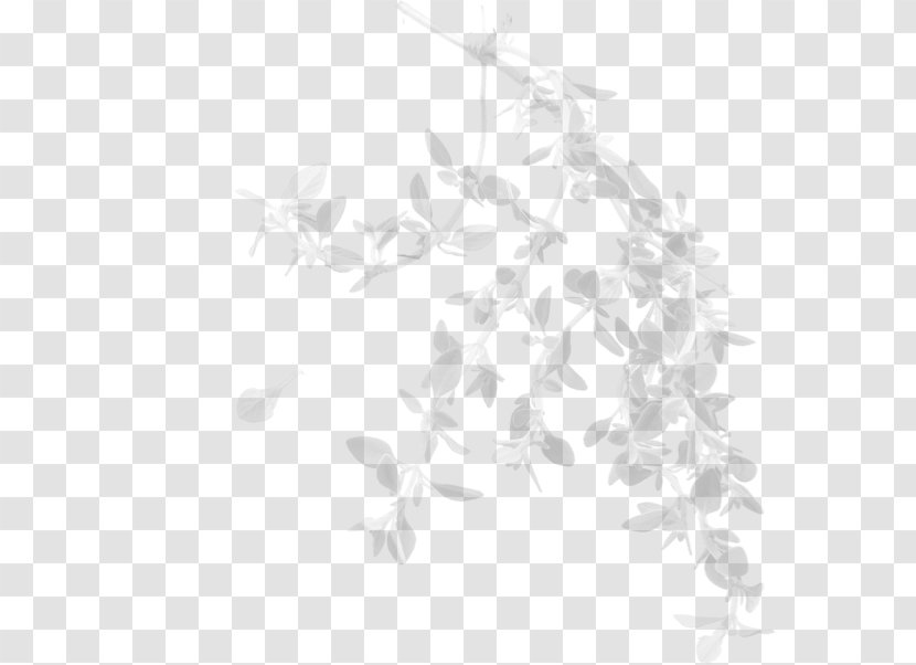 Twig White Plant Stem Pattern - Branch - Leaf Transparent PNG