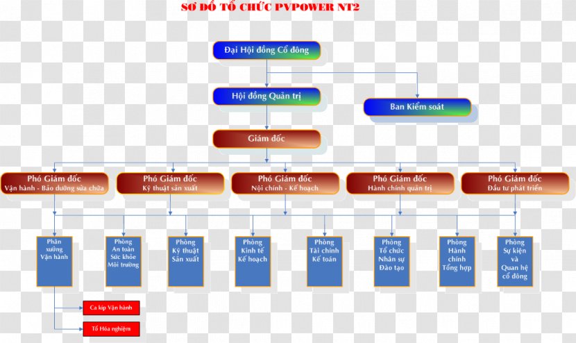 Organization Hanoi Business Vietnam Electricity Management Transparent PNG