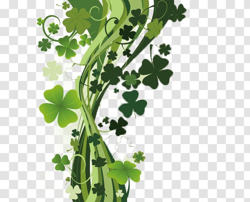 Four-leaf Clover Shamrock Wallpaper - Floral Design - Green Transparent PNG