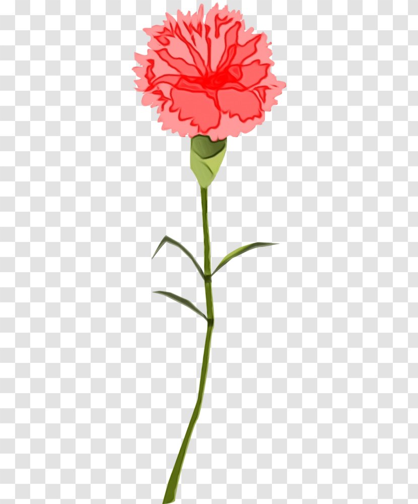 Drawing Of Family - Cut Flowers - Pink Dianthus Transparent PNG
