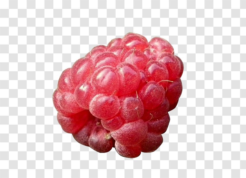 Red Raspberry Fruit Health - Accessory Transparent PNG