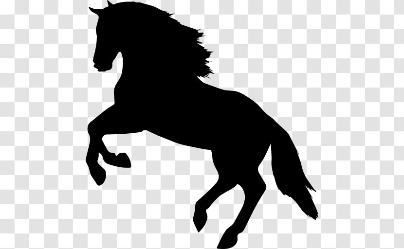 Horse Mare Equestrian Jumping - Sport - Horses Transparent PNG