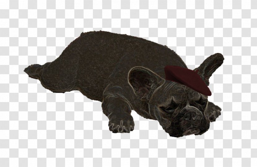 French Bulldog Puppy Dog Breed Non-sporting Group - Yoga Transparent PNG