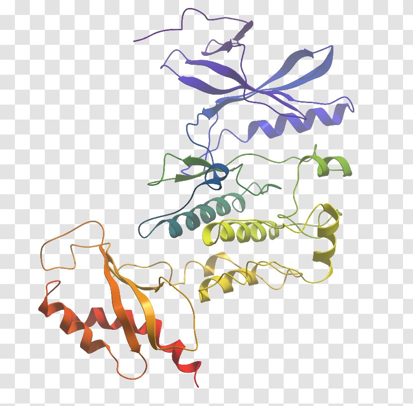Illustration Clip Art Graphic Design WNK Lysine Deficient Protein Kinase 3 - Flora - Metabolism Transparent PNG