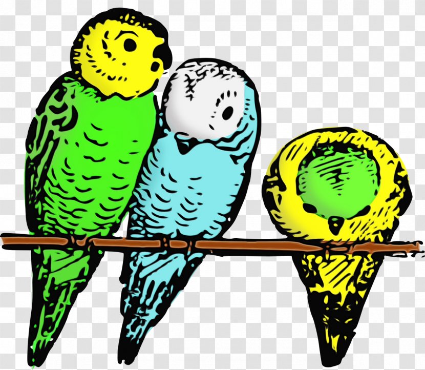 Bird Budgie Parakeet Parrot Beak - Watercolor Transparent PNG