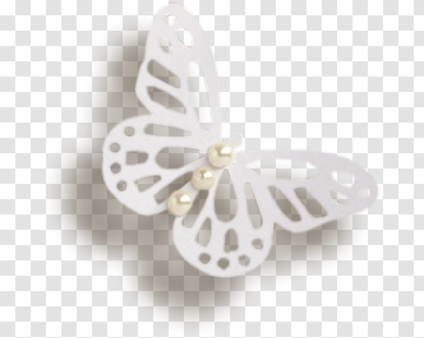 Butterfly White Penguin - Polyvore Transparent PNG