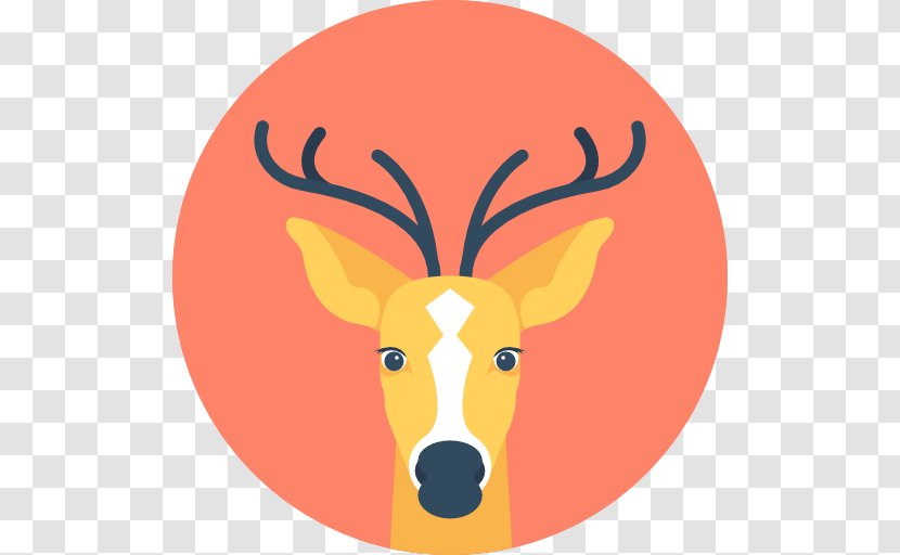 Reindeer Elk Moose Antler Transparent PNG