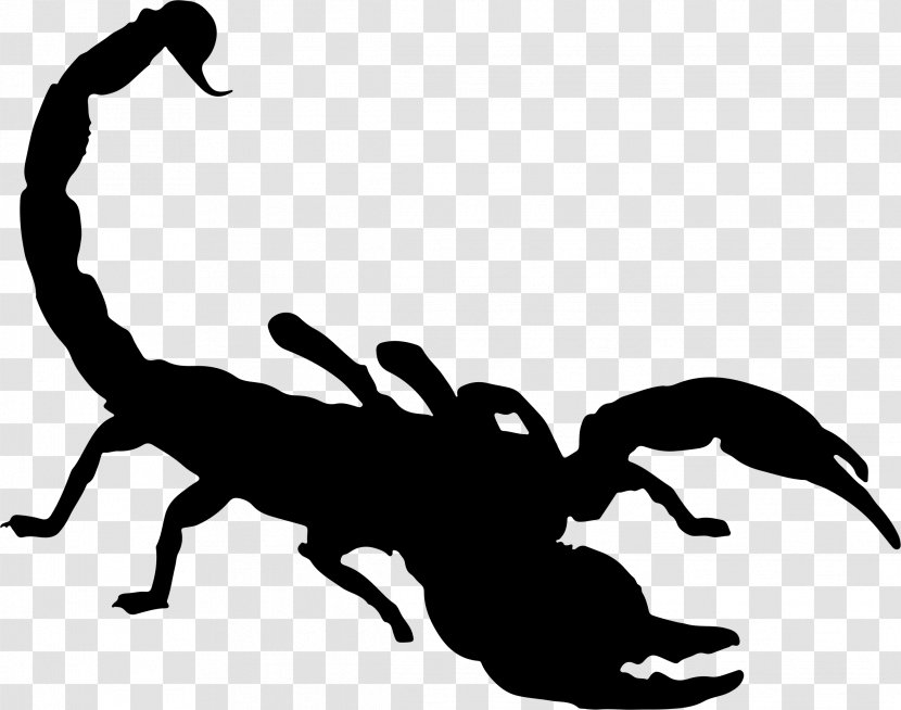 Scorpion Silhouette Clip Art - Tail - Scorpions Transparent PNG