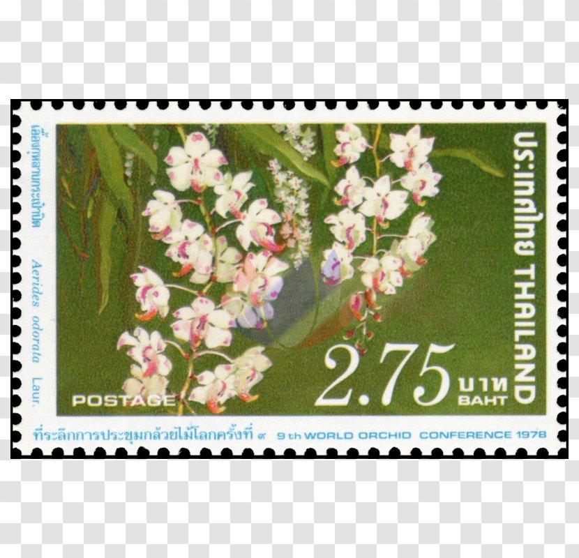Postage Stamps Thailand Stock Photography Mail - Dendrobium Transparent PNG