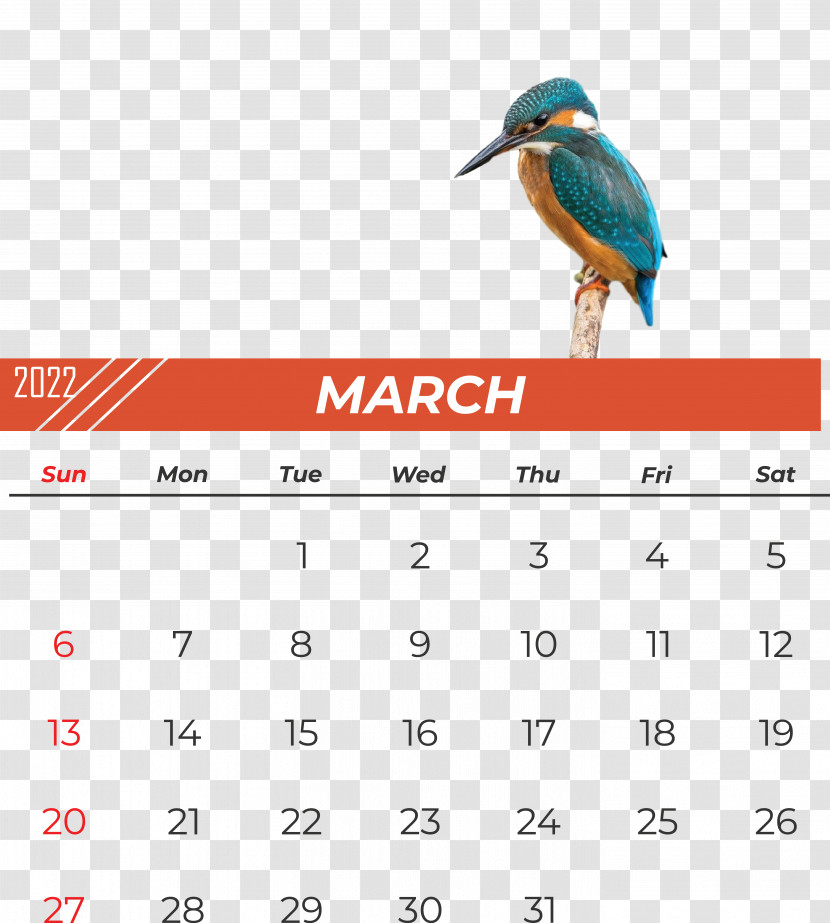 Birds Beak Calendar Font Meter Transparent PNG