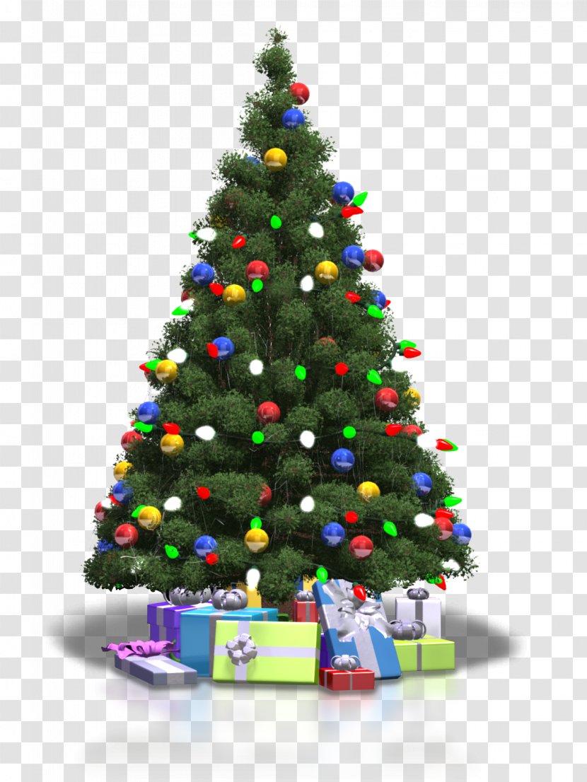 Christmas Tree - Fir - Transparent Background Transparent PNG