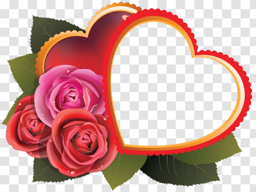 Vector Graphics Heart Image Love Valentine's Day - Plant - Sd Frame Transparent PNG