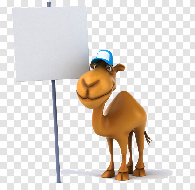 Camel Stock Photography Illustration Royalty-free Clip Art - Snout - Donkey Transparent PNG