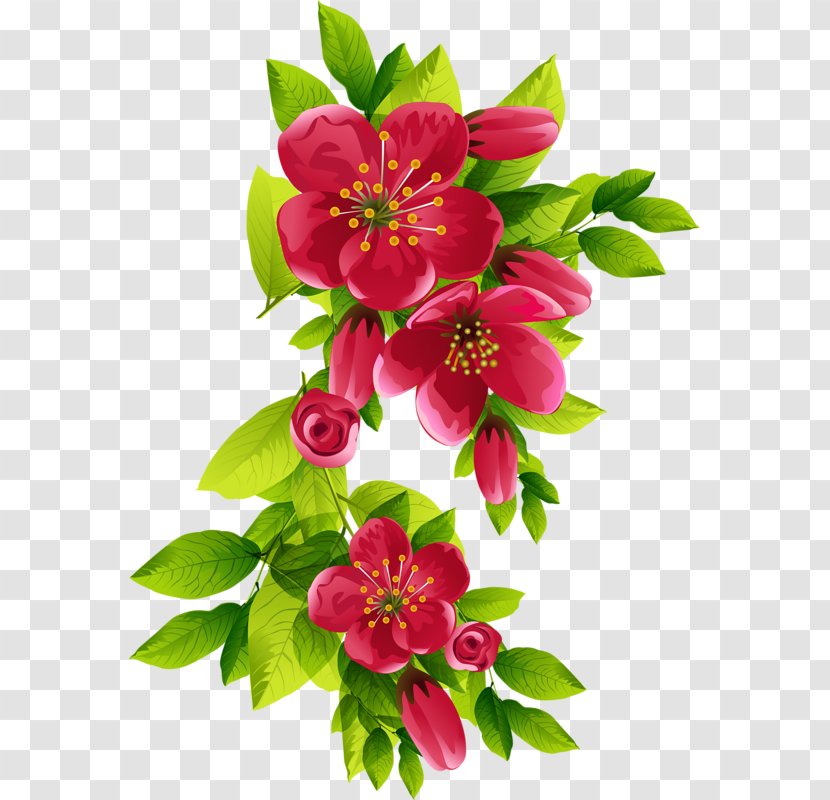 Flower Lilium Clip Art - Peruvian Lily Transparent PNG