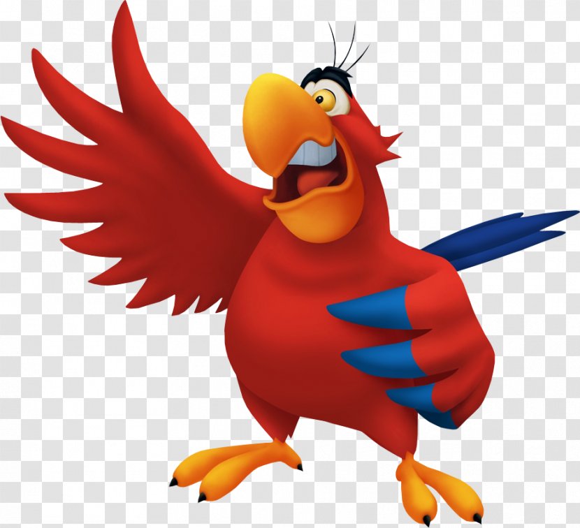 Iago Princess Jasmine Jafar Genie Aladdin - Galliformes - Pirate Parrot Transparent PNG