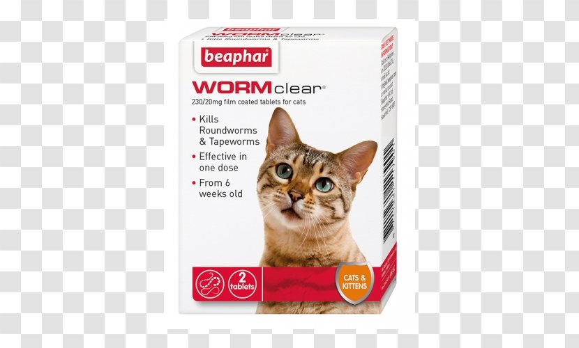 Cat Health Kitten Worm Dog Transparent PNG
