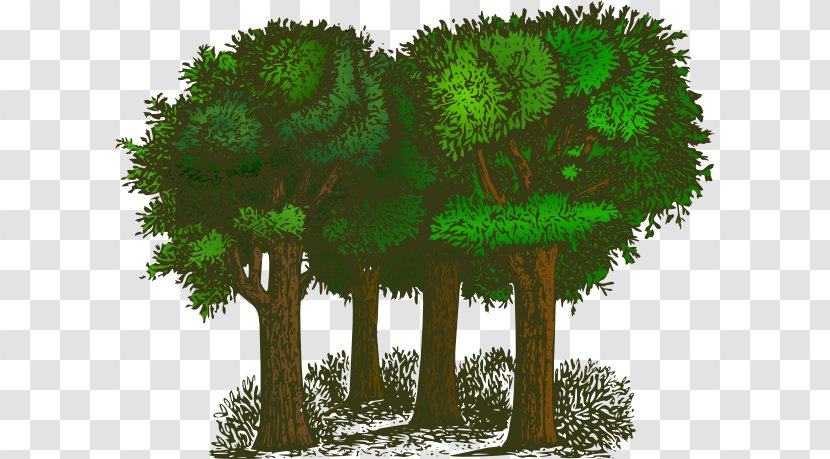 Tree Forest Clip Art - Grass - Transparent Cliparts Transparent PNG