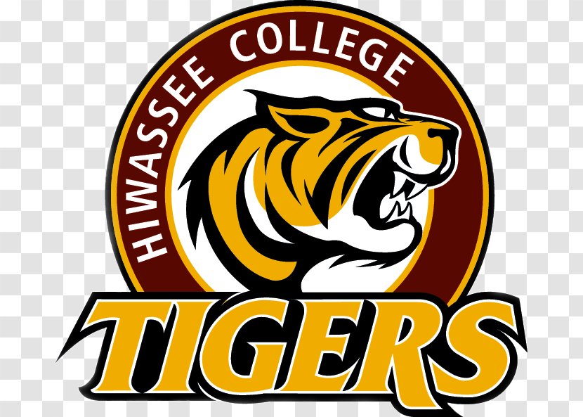 Hiwassee College Tigers Men's Basketball Montreat Grace And Theological Seminary - Carnivoran Transparent PNG